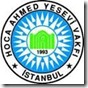 yesevi logo