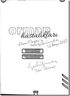 Yeni belge(5)_5