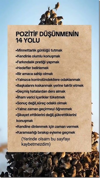 9d09f9c8bd902aa5a441f6eb58999491