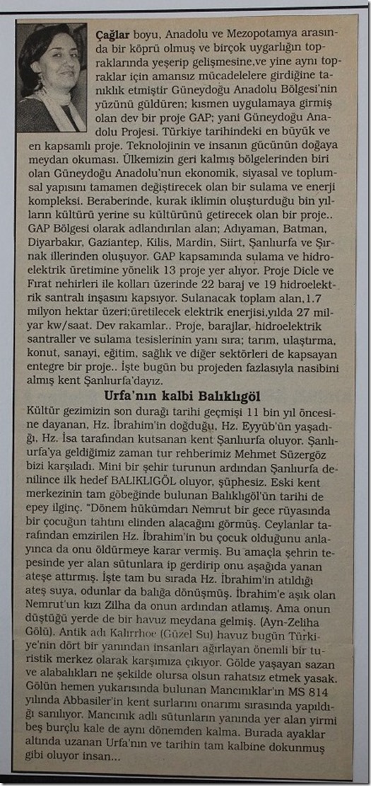 2006.07.08a